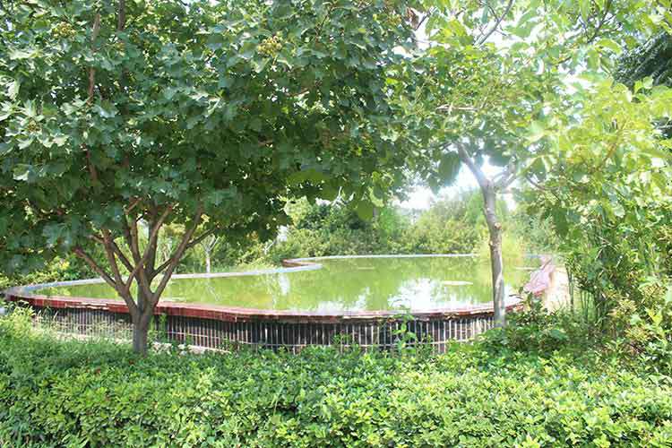 bet在线登录官网-bet(中国)机械厂区环境优美